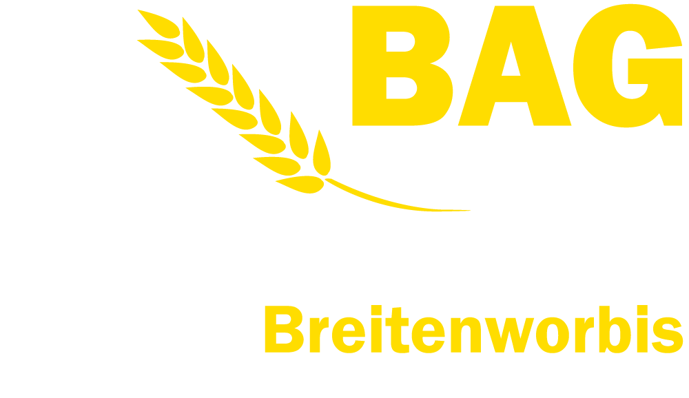 Logo der BAG Rhinquelle in Breitenworbis mit Weizenähre